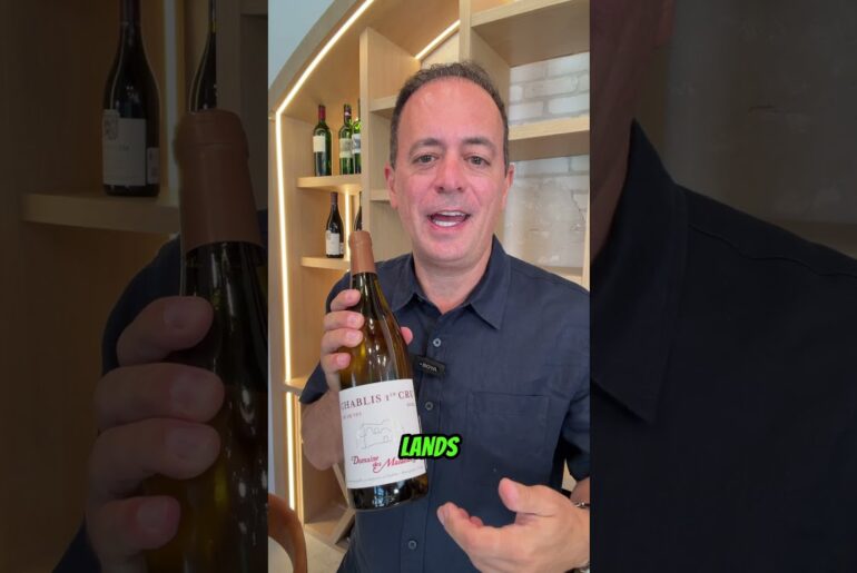 Fossil Oysters in the Soil, Real Ones on the Plate | Chablis 1er Cru "Vau de Vey"