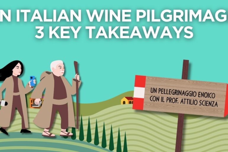 An Italian Wine Pilgrimage: 3 Key Takeaways