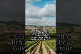Best Wine & Food Tour in Pisa [Italy]