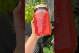 #Homemade #Tomato #Sauce That TASTES Like #Italy 🇮🇹🍅 #italian #shorts #shortsrecipe