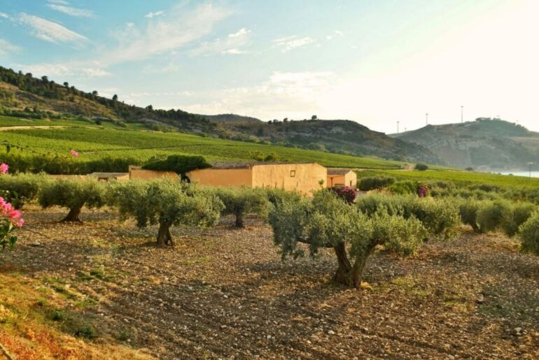 Sicily Comes to Sentosa for a One-Night-Only Planeta Wine Dinner - BILLIONAIRE Asia