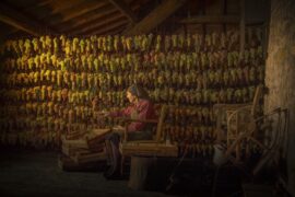 Winetraders adds ten new artisan Italian producers to portfolio