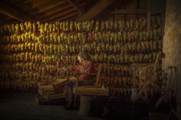 Winetraders adds ten new artisan Italian producers to portfolio