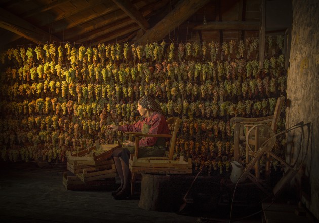 Winetraders adds ten new artisan Italian producers to portfolio