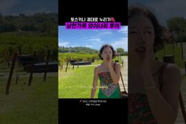 🇮🇹#토스카나 필수코스 🍷안티노리 와이너리 투어 #이탈리아 #이탈리아여행
