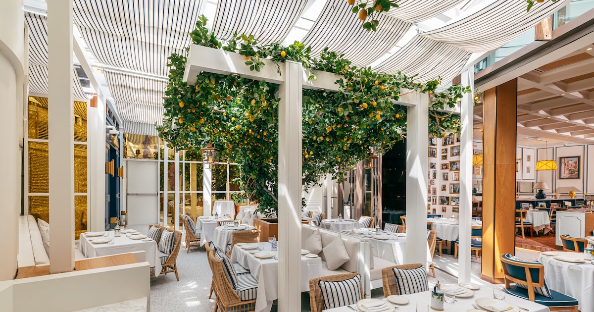 UAE restaurants reopening in 2026, from Scalini to Tattu Dubai UAE restaurants reopening in 2026, from Scalini to Tattu Dubai
