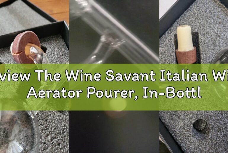 Review The Wine Savant Italian Wine Aerator Pourer, In-Bottle Drip-Free Decanter Red & White Wine