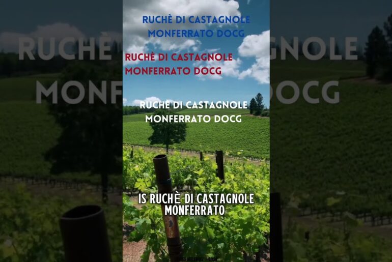 Ruchè di Castagnole Monferrato DOCG in 60 Seconds