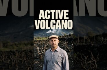 The wine grown on an active volcano