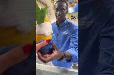 Gelato Leaf #amalficoast #amalfi #italytravel #italy #positano #gelato #italyfood #youtubeshorts