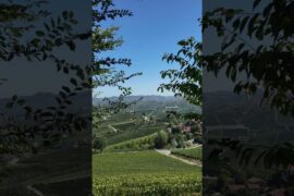 Driving through Barolo, Italy 🇮🇹 #europetravel #travelvlog #italy
