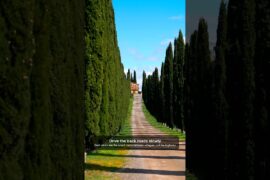 Chianti Italy: Tuscany's Wine Hills