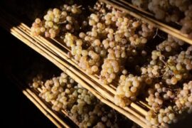 “International Wine Challenge” 2026, 2 “Champions” and 25 gold medals for Italy