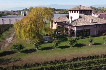 Italian tours: vineyards & winery in Friuli-Venezia Giulia, 4K part 2