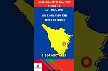 Maremma Toscana DOC: Tuscany's Coastal Wine Paradise! 🇮🇹🍷 #italy
