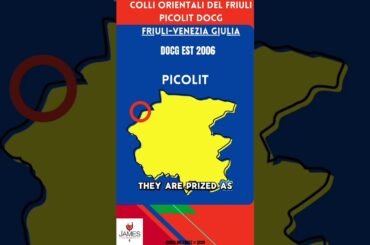 Colli Orientali del Friuli Picolit in 60 Seconds #italy #italia
