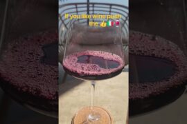 Wine Primitivo Puglia IGT Terra Aprica🍷🇮🇹#shorts #primitivo #italy #wine