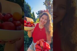 Homemade Tomato Passata | Easy Italian Tomato Purée Recipe