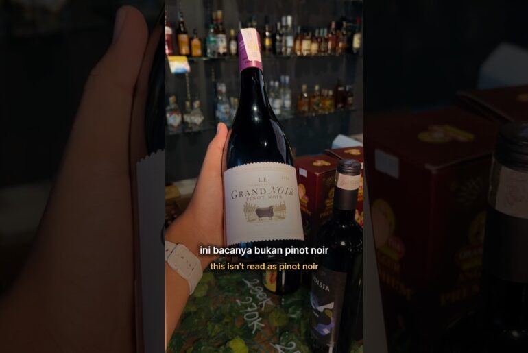 Cara baca wine yang benar😍