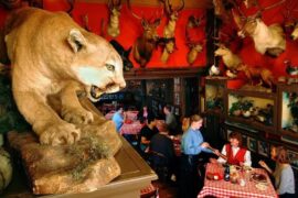 a wall covered in taxidermy animals inside a restaurant