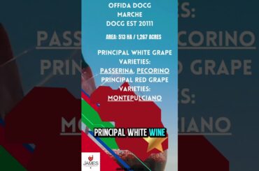 Offida DOCG Explained in 60 Seconds! 🍷🐑🇮🇹