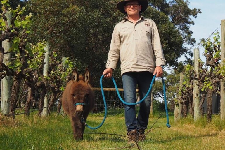 McLaren Vale’s new cellar door has five miniature donkeys, wine and Italian cantina vibes