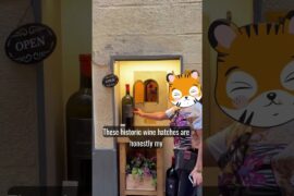 🍷🍾little wine hole, Florence, Italy
