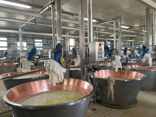 Parmigiano Reggiano -1,000 year heritage