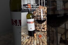 2020 Sasyr by Rocca Delle Macie Italian Wine Short #winewithryan #italian #sangiovese #syrah #wine