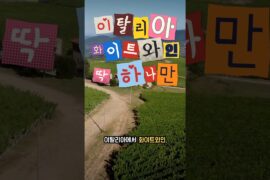 해산물이랑 찰떡인 10유로 이탈리아 와인