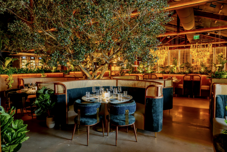 V Modern Italian, led by Michelin-starred chef, opens in North Hyde Park