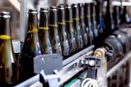 Wine, bottlings of PDO white and sparkling wines in line with 2025, PGI and red wines suffer