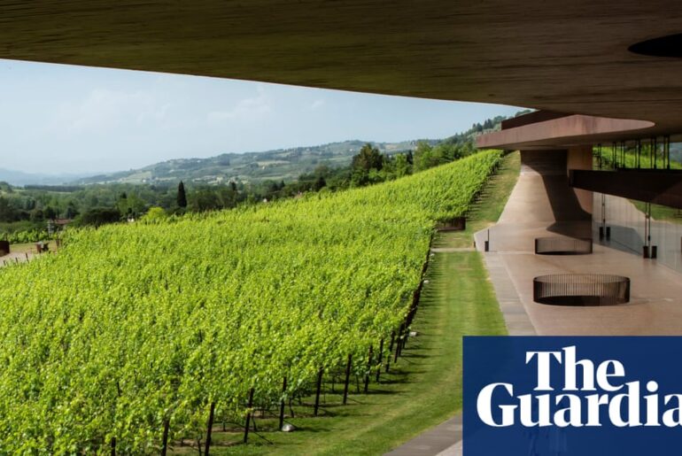 Thieves make off with €5m haul from prestigious Italian winery | Italy