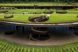 Masked robbers steal wine worth over $5m from top Italian vineyard