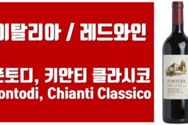 이탈리아 레드 와인 / 폰토디, 키안티 클라시코 Fontodi, Chianti Classico