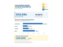 Italian Soft Wheat Flour Exports Maintain Positive Momentum, Driven by the Commitment and Capabilities of the Italian Milling Industry