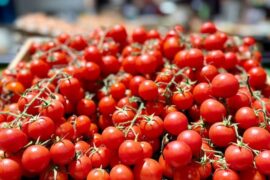 Salmonella-linked cherry tomatoes from Italy reach Croatian restaurants