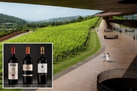 Italy hit by biggest-ever wine heist as thieves steal 30,000 bottles worth $5.8M