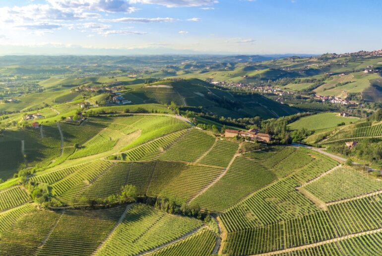 Visit Piedmont, Italy: Europe’s newest top wine destination