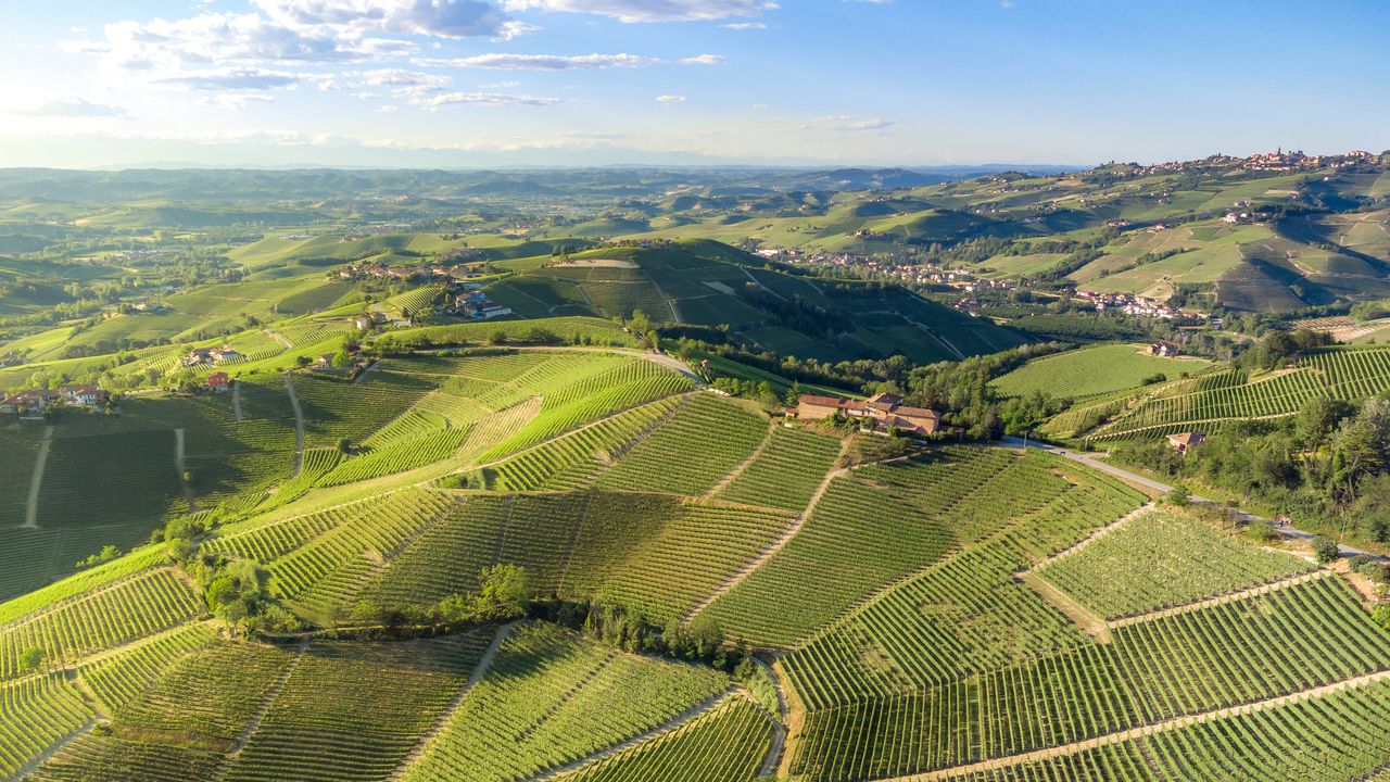 Visit Piedmont, Italy: Europe’s newest top wine destination Visit Piedmont, Italy: Europe’s newest top wine destination