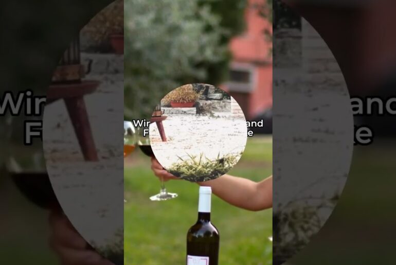 Real Winery Visit in Brescia ,Italy