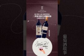 三萬瓶頂級名酒，一夜之間被搬走。照理說，小偷應該直接財富自由了吧？但這批酒，真正麻煩的地方才正要開始🍷 #antinori