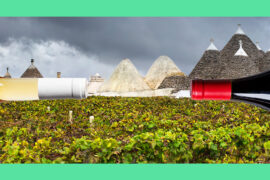 8 of the Best Red Wines From Italy’s Puglia