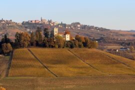 Italy takes 2nd place for the best wine regions in Europe 2027— idealista/news